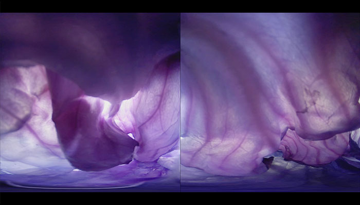 Burkhard Philipp von Harder | PLAN B Artist Studio | International Artists in Residence programme 2020