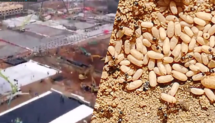 Burkhard Philipp von Harder video postcard for the Cinémathèque française