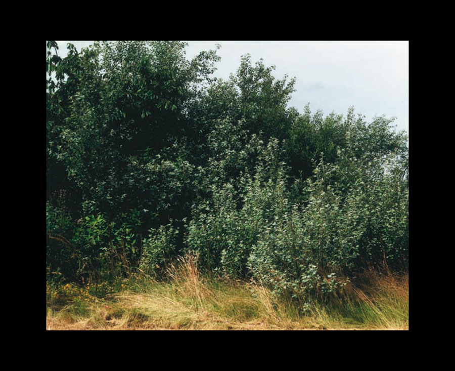 VATERBILDER | FATHERPICTURES - STAGED FAMILY PICTURES WITH SILICONE PUPPETS - Part I &copy; Burkhard Philipp von Harder