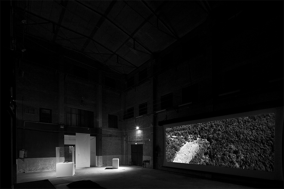 Burkhard Philipp von Harder - NARBE DEUTSCHLAND | SCAR GERMANY - World Premiere Part 2 - Being3 Gallery Beijing